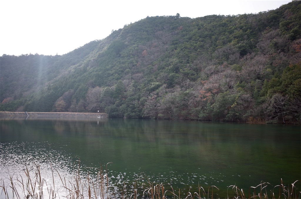 f:id:HIRO32C:20191223074402j:image