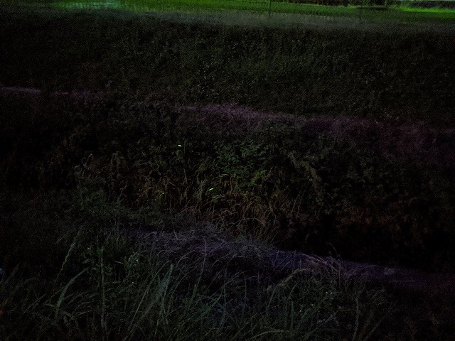 f:id:HIRO32C:20200605074917j:plain f:id:HIRO32C:20200605074917j:plain