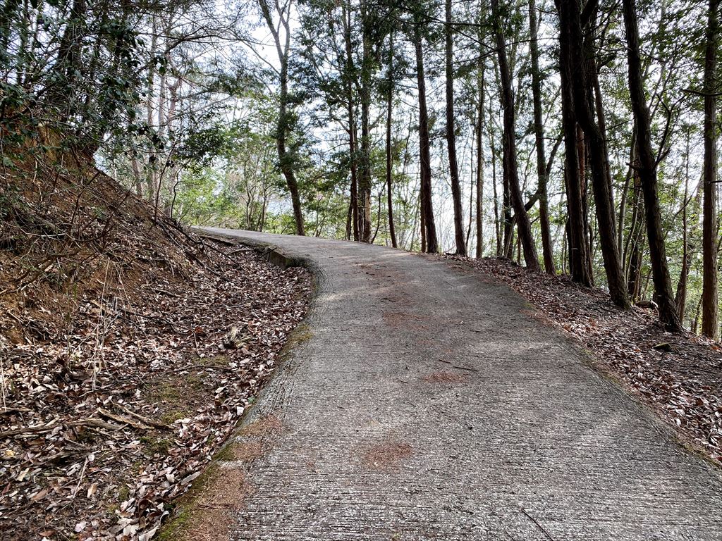 f:id:HIRO32C:20210224081200j:plain