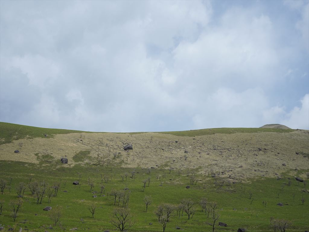 f:id:HIRO32C:20210506173116j:plain