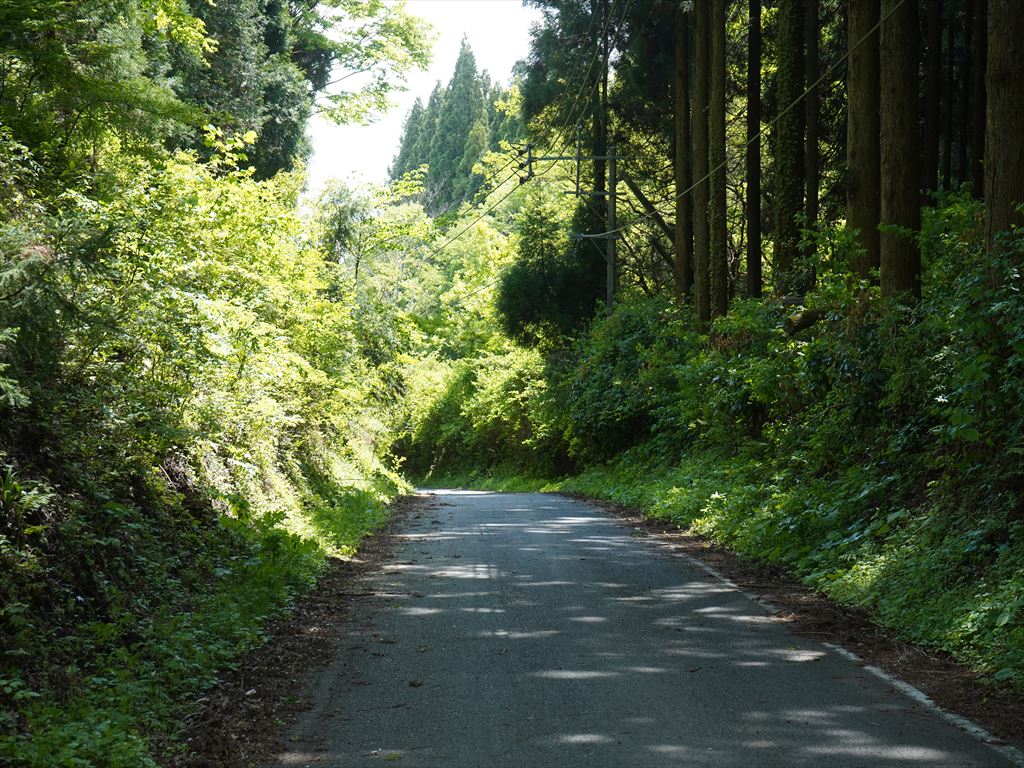 f:id:HIRO32C:20210511134122j:plain