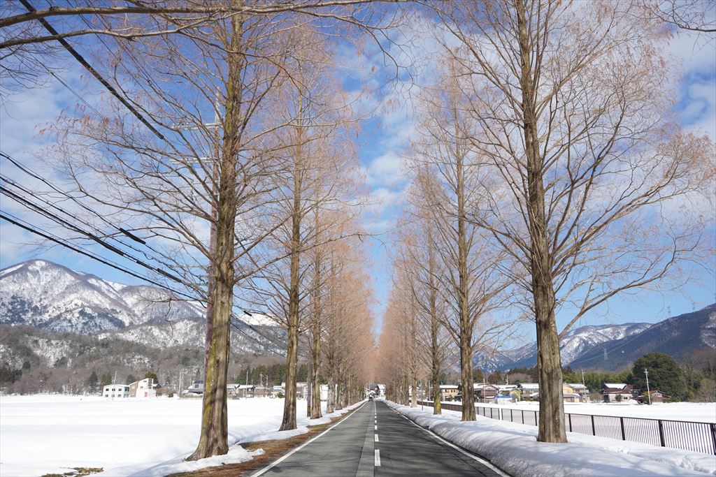 f:id:HIRO32C:20220113152109j:plain