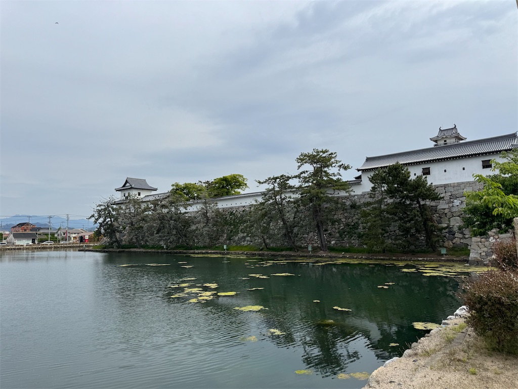 f:id:HIRO32C:20250519171038j:image