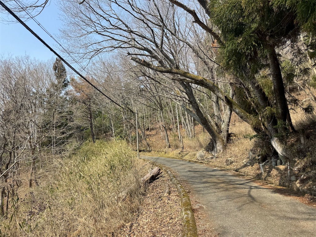f:id:HIRO32C:20260414074856j:image