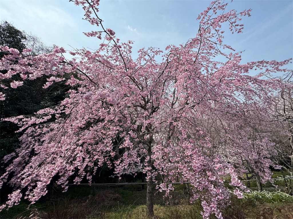 f:id:HIRO32C:20260414074953j:image