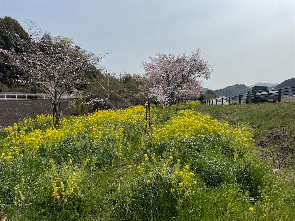 f:id:HIRO32C:20260414075033j:image