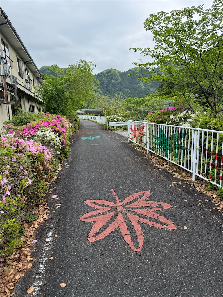 f:id:HIRO32C:20260510191955j:image