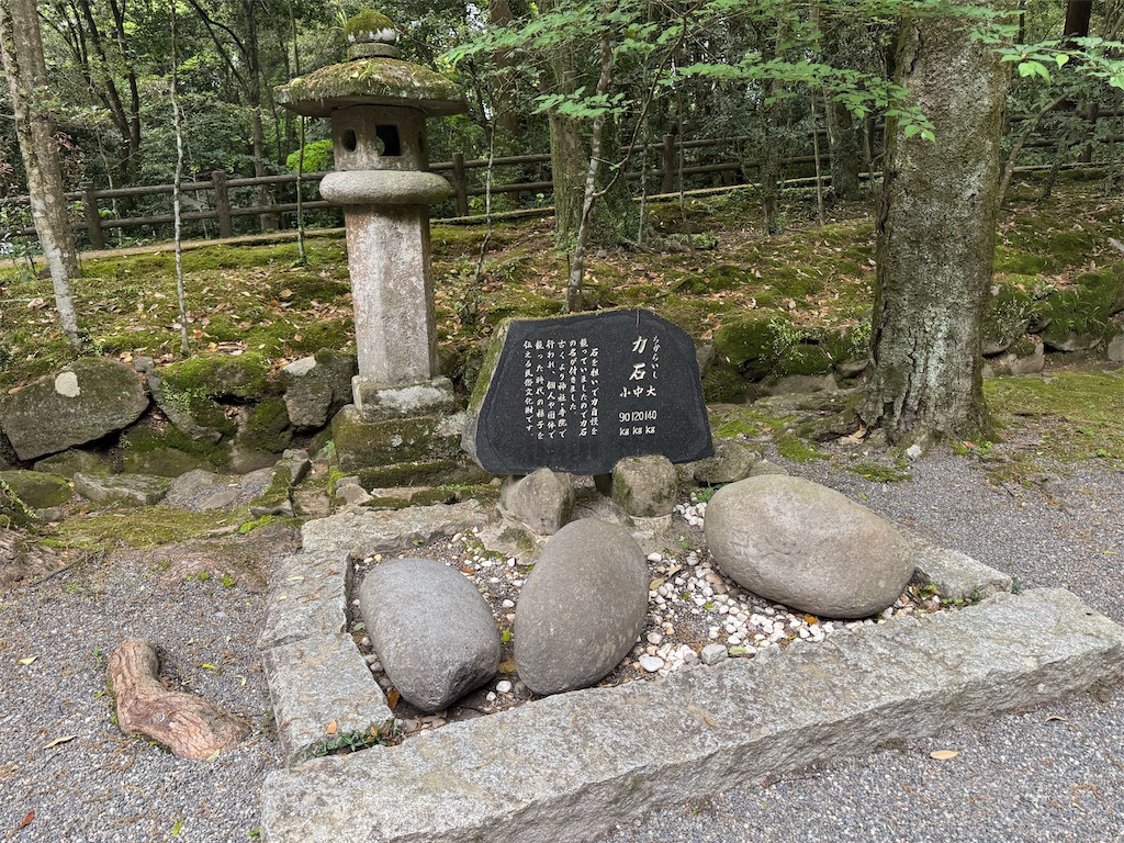 f:id:HIRO32C:20260510192126j:image