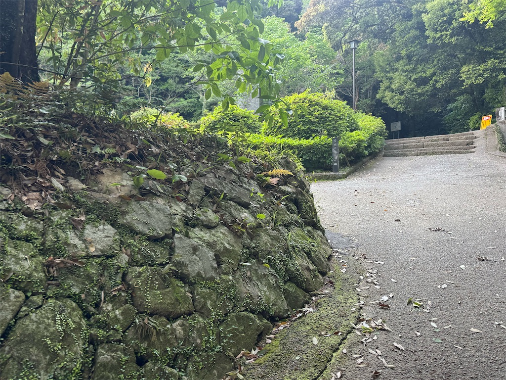 f:id:HIRO32C:20260605160712j:image f:id:HIRO32C:20260605160712j:image