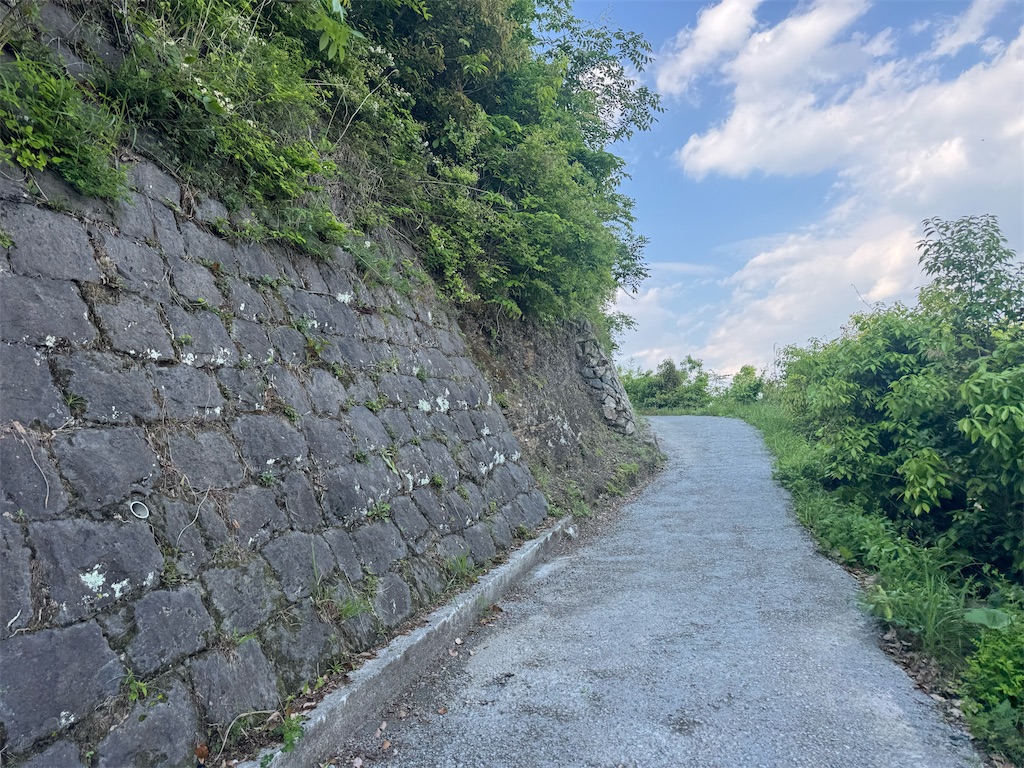 f:id:HIRO32C:20260605160803j:image f:id:HIRO32C:20260605160803j:image