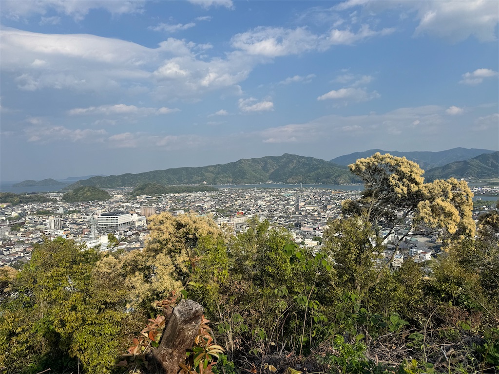 f:id:HIRO32C:20260605160912j:image f:id:HIRO32C:20260605160912j:image