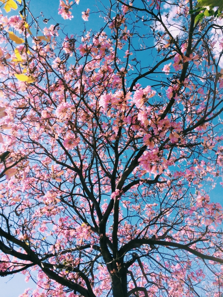 f:id:HIROPPY:20180321132346j:plain f:id:HIROPPY:20180321132346j:plain