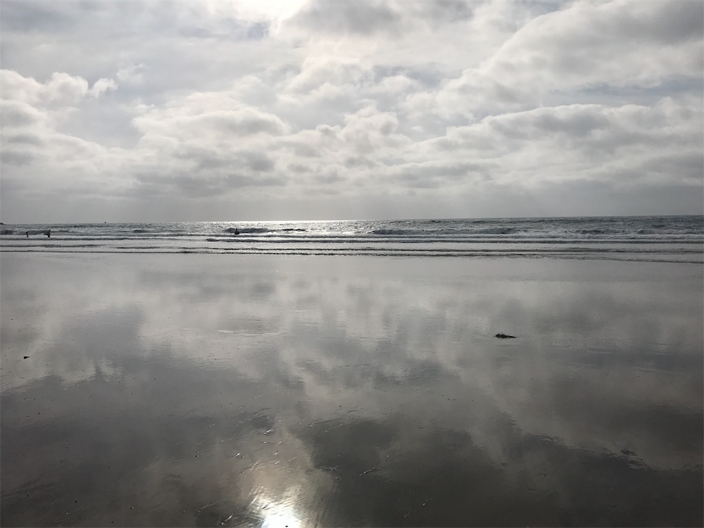 f:id:HIROPPY:20190305202022j:plain f:id:HIROPPY:20190305202022j:plain