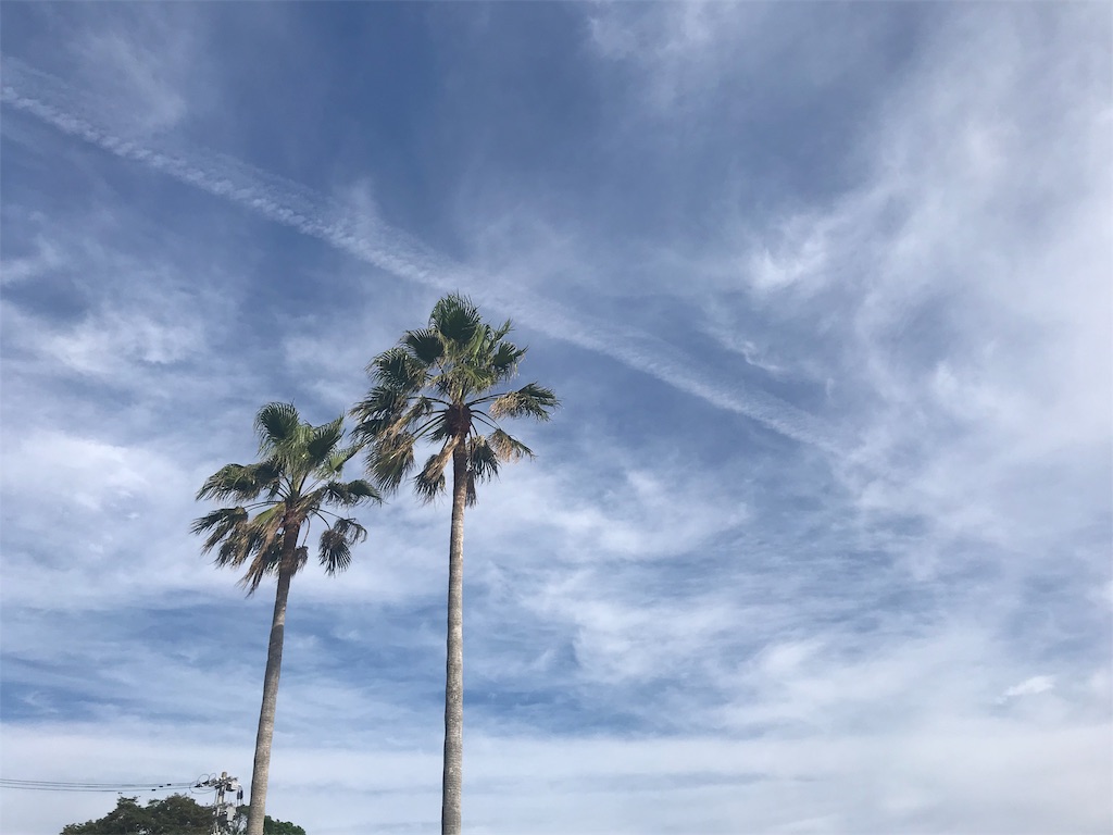 f:id:HIROPPY:20191222111759j:plain f:id:HIROPPY:20191222111759j:plain