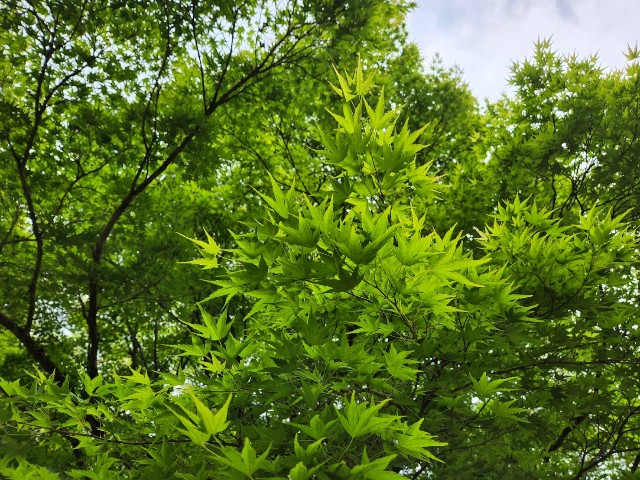 f:id:HIROPy-blog2020:20220521172131j:image f:id:HIROPy-blog2020:20220521172131j:image