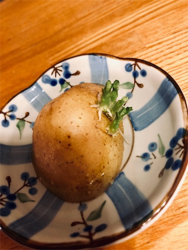 f:id:HIYORI0606:20190703120441j:image f:id:HIYORI0606:20190703120441j:image