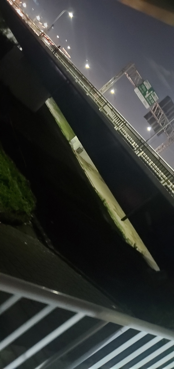 f:id:HK921:20200814235400j:plain f:id:HK921:20200814235400j:plain