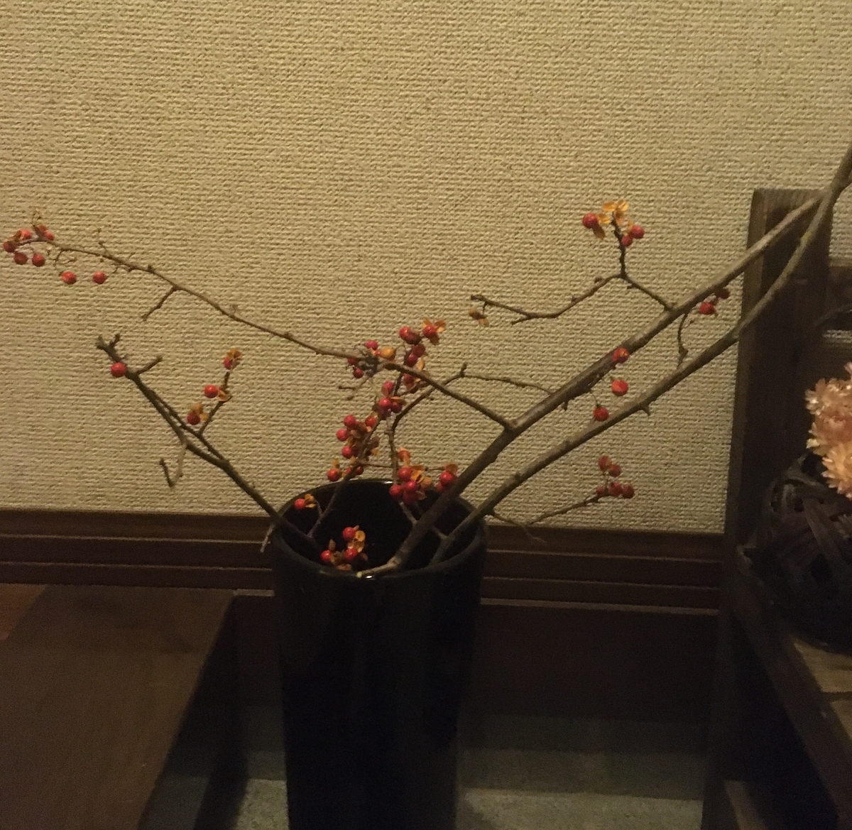 ツルウメモドキ 花言葉に 強運 単身赴任生活と帰省時の 農作業 Diy ツルウメモドキ 花言葉に 強運 単身赴任生活と帰省時の 農作業 Diy