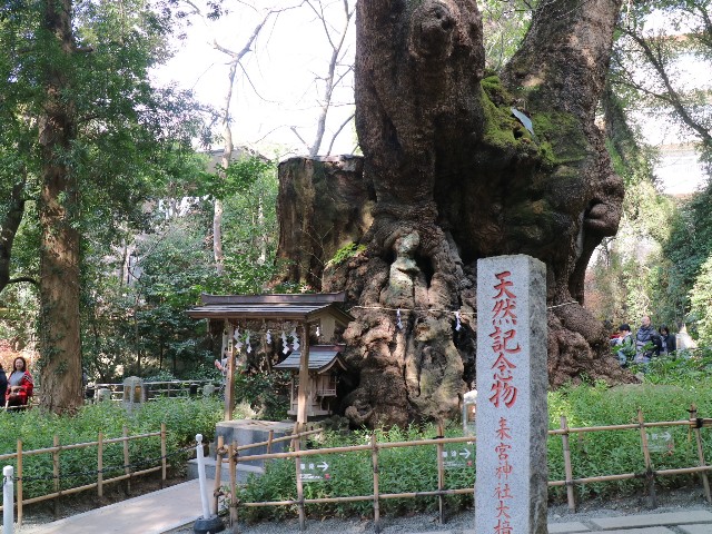 f:id:HKT1989:20190127054042j:plain