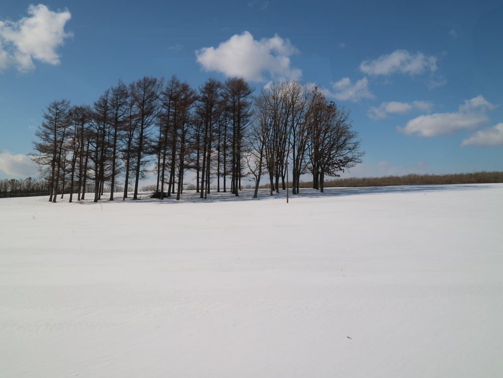 f:id:HKT1989:20190205163403j:plain