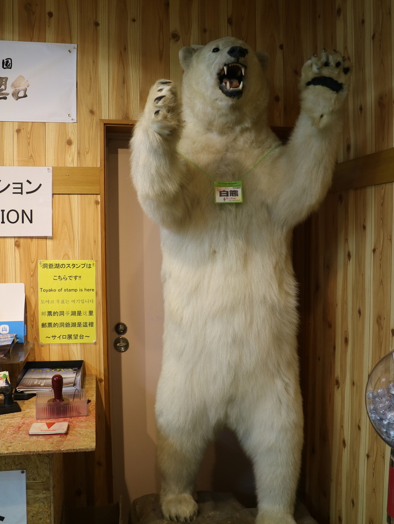 f:id:HKT1989:20190206074644j:plain f:id:HKT1989:20190206074644j:plain