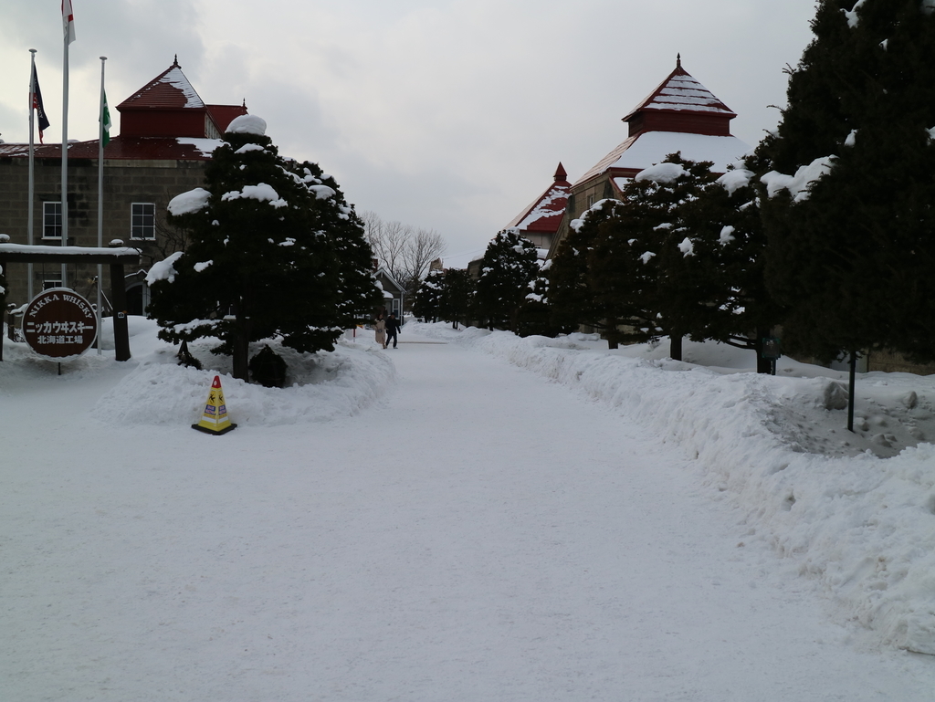 f:id:HKT1989:20190210081537j:plain f:id:HKT1989:20190210081537j:plain