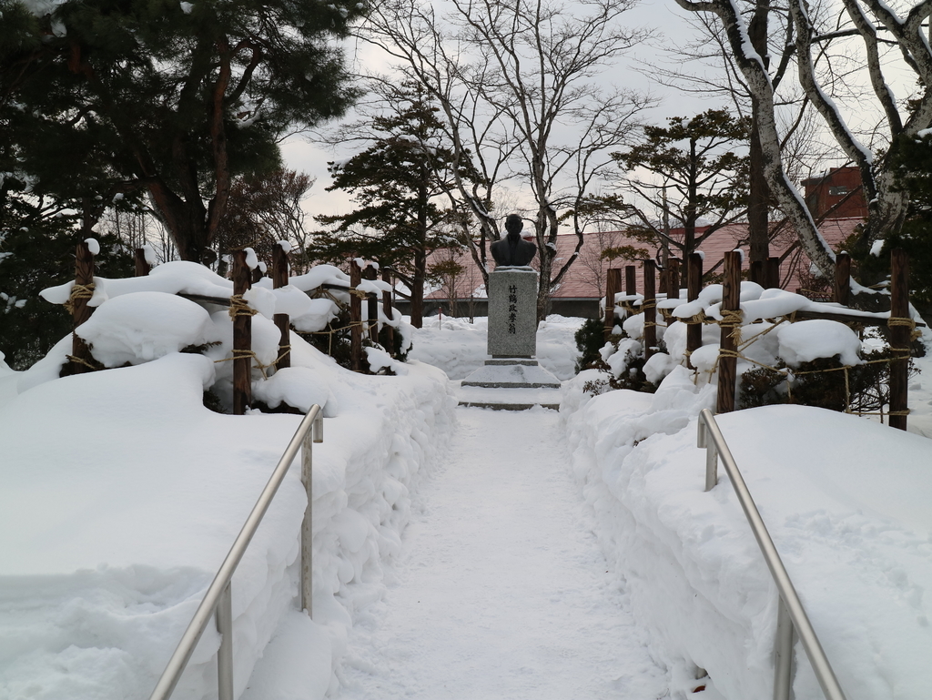 f:id:HKT1989:20190210082823j:plain f:id:HKT1989:20190210082823j:plain