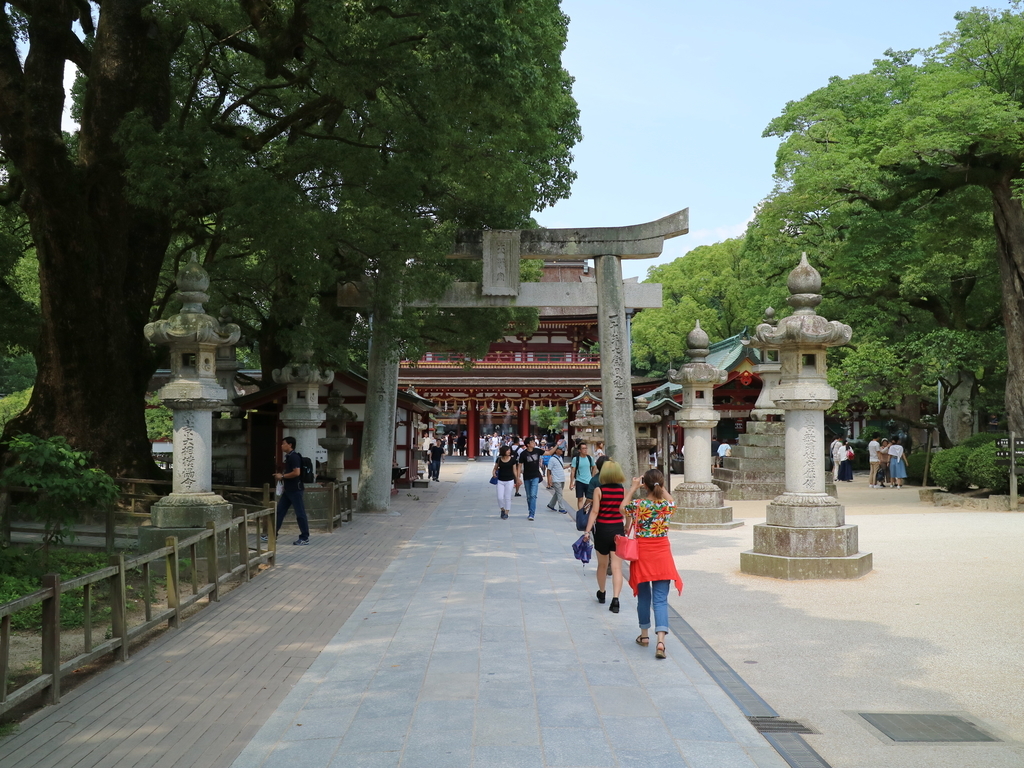 f:id:HKT1989:20190211222807j:plain