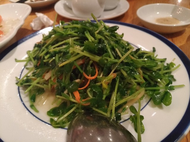 f:id:HKT1989:20190225002347j:image f:id:HKT1989:20190225002347j:image