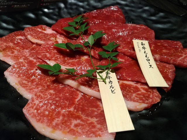 f:id:HKT1989:20190306090814j:image f:id:HKT1989:20190306090814j:image