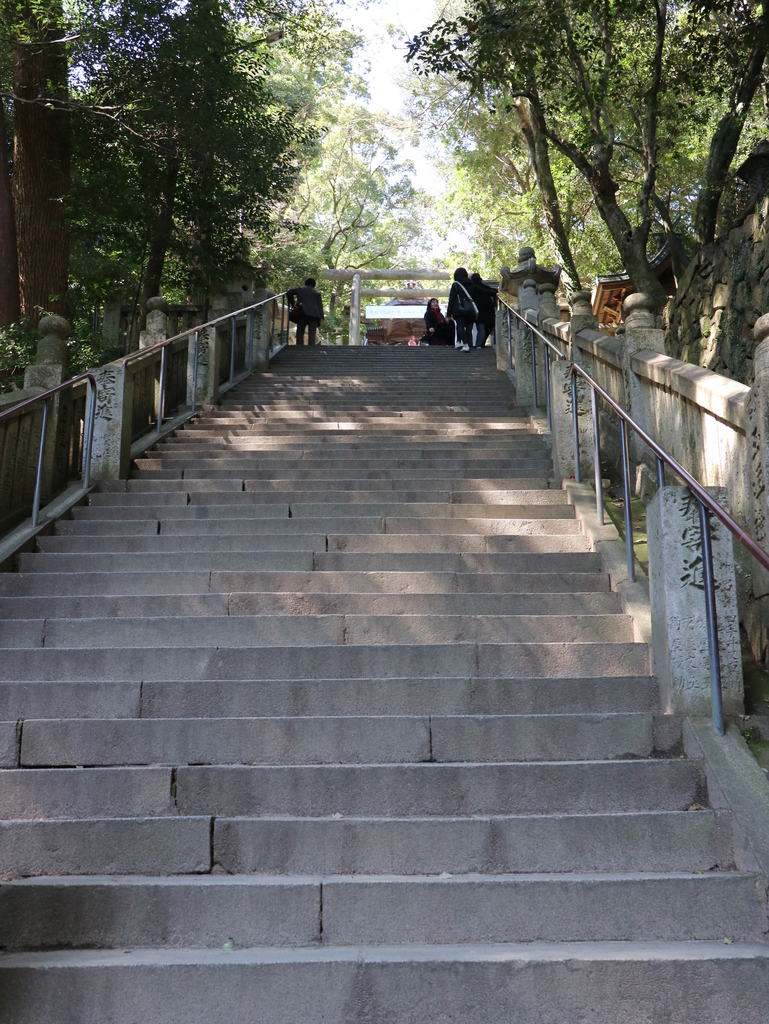 f:id:HKT1989:20190311162411j:plain f:id:HKT1989:20190311162411j:plain