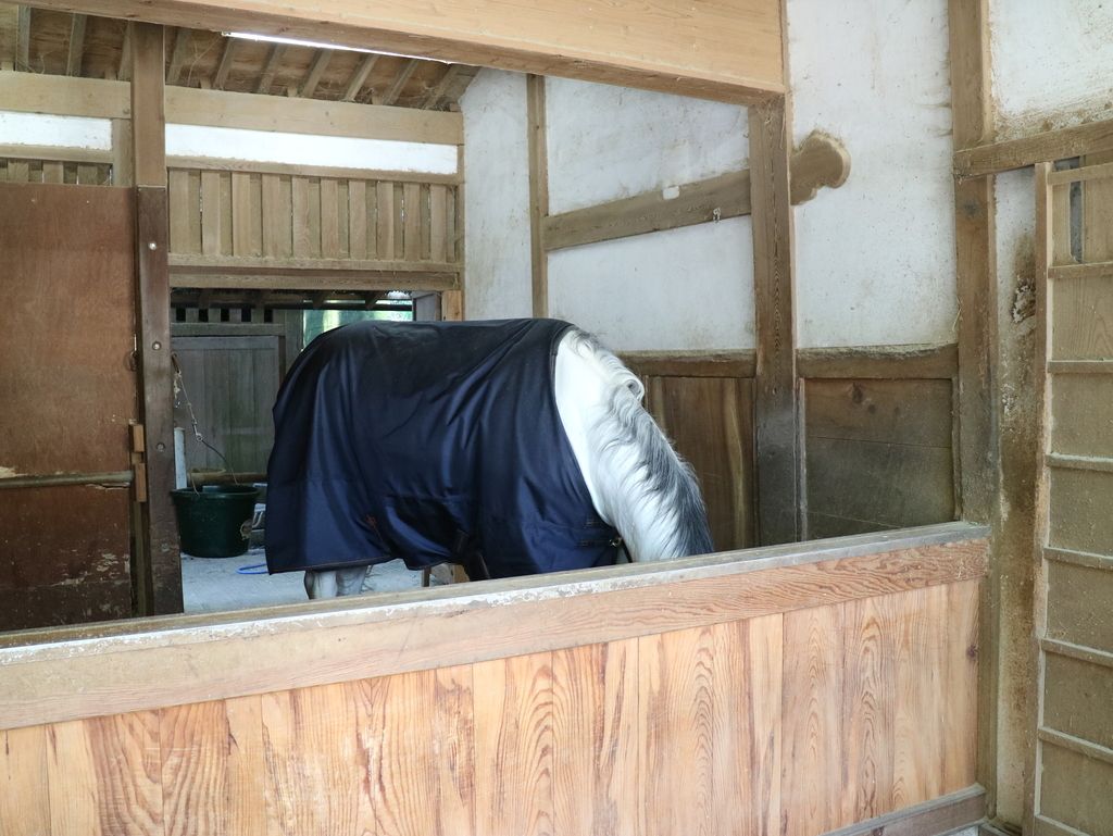 f:id:HKT1989:20190313125916j:plain f:id:HKT1989:20190313125916j:plain