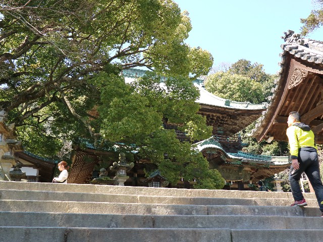 f:id:HKT1989:20190314131440j:image f:id:HKT1989:20190314131440j:image