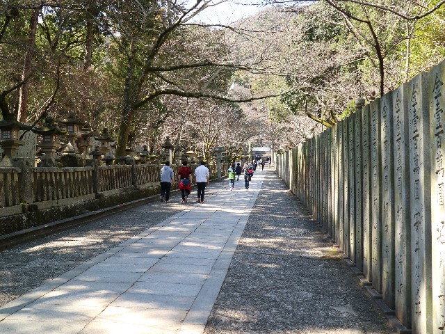 f:id:HKT1989:20190314131738j:image f:id:HKT1989:20190314131738j:image