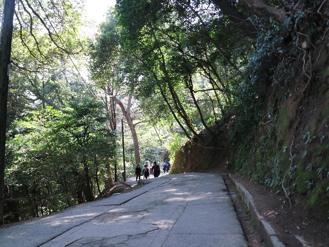 f:id:HKT1989:20190314132222j:image f:id:HKT1989:20190314132222j:image