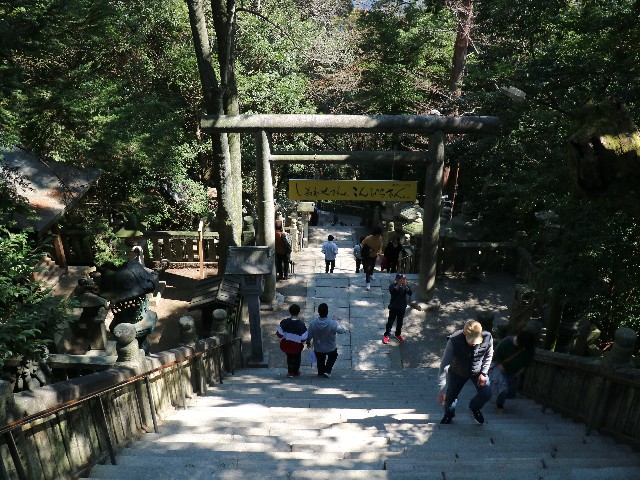 f:id:HKT1989:20190314133043j:plain f:id:HKT1989:20190314133043j:plain