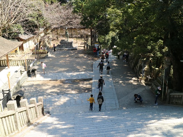 f:id:HKT1989:20190314133150j:image f:id:HKT1989:20190314133150j:image