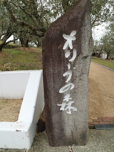 f:id:HKT1989:20190314161019j:image f:id:HKT1989:20190314161019j:image