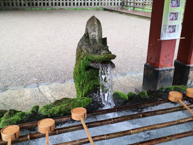 f:id:HKT1989:20190326154814j:image f:id:HKT1989:20190326154814j:image