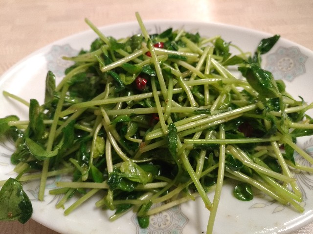 f:id:HKT1989:20190415120130j:image