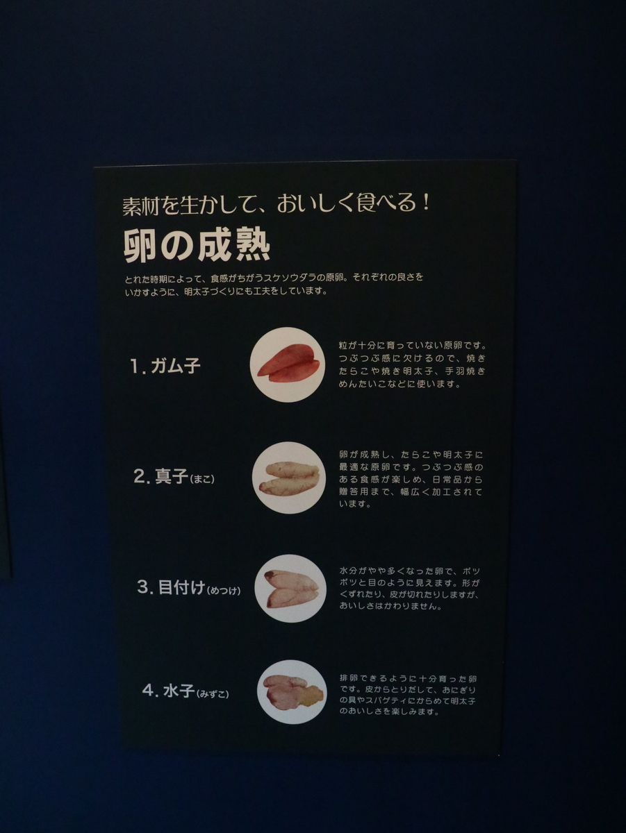 f:id:HKT1989:20190512031652j:plain f:id:HKT1989:20190512031652j:plain