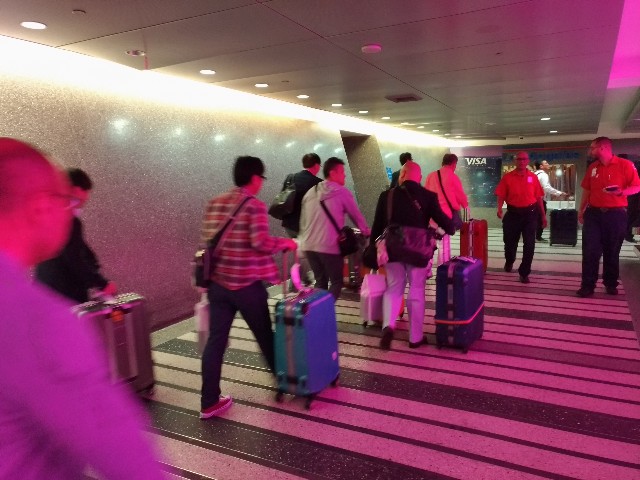f:id:HKT1989:20190519231009j:image f:id:HKT1989:20190519231009j:image