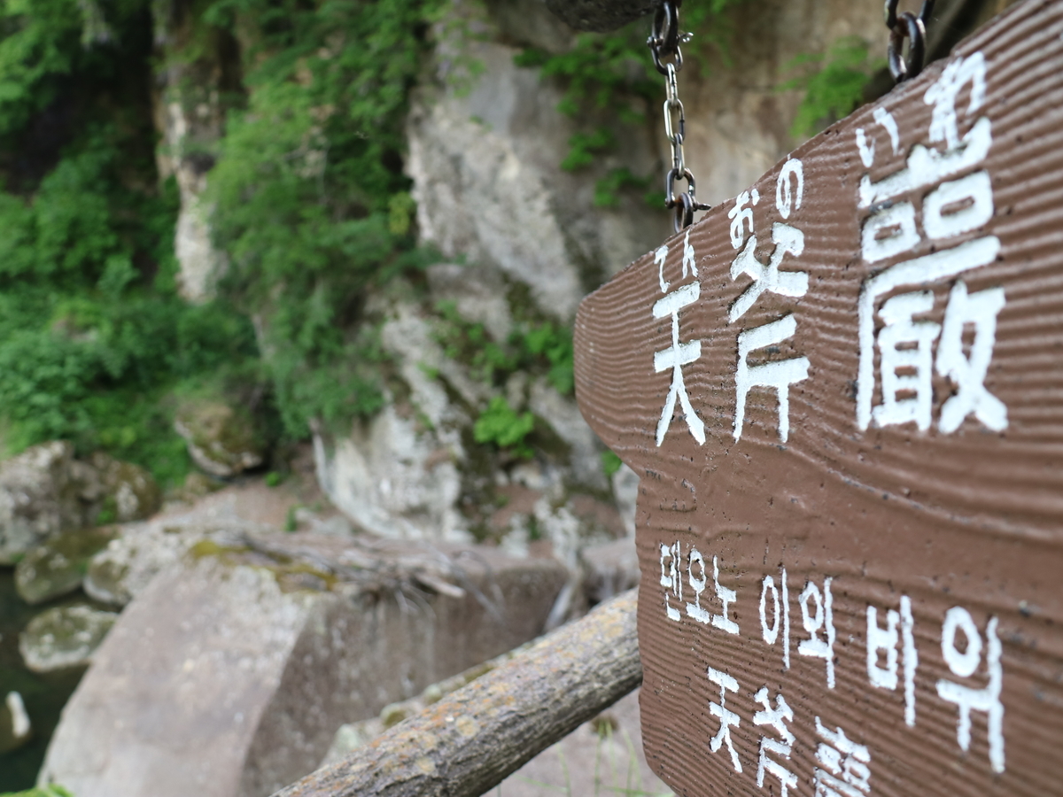 f:id:HKT1989:20190529111352j:plain
