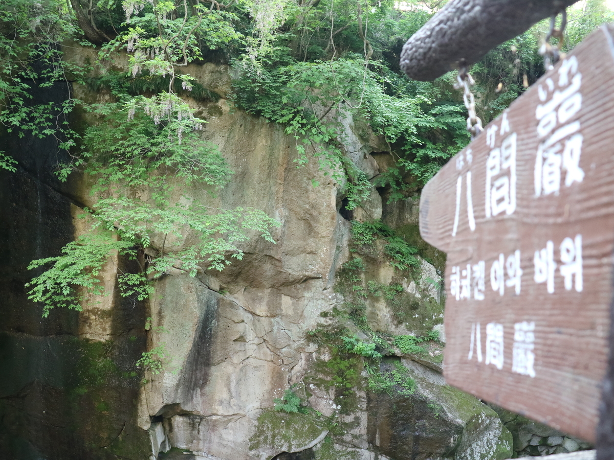 f:id:HKT1989:20190529111452j:plain