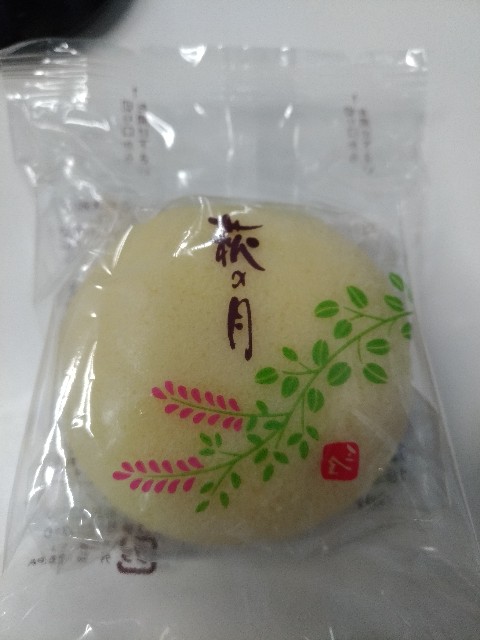 f:id:HKT1989:20190530164933j:image
