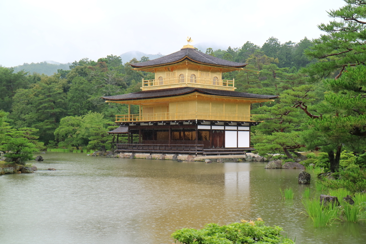 f:id:HKT1989:20190602174341j:plain