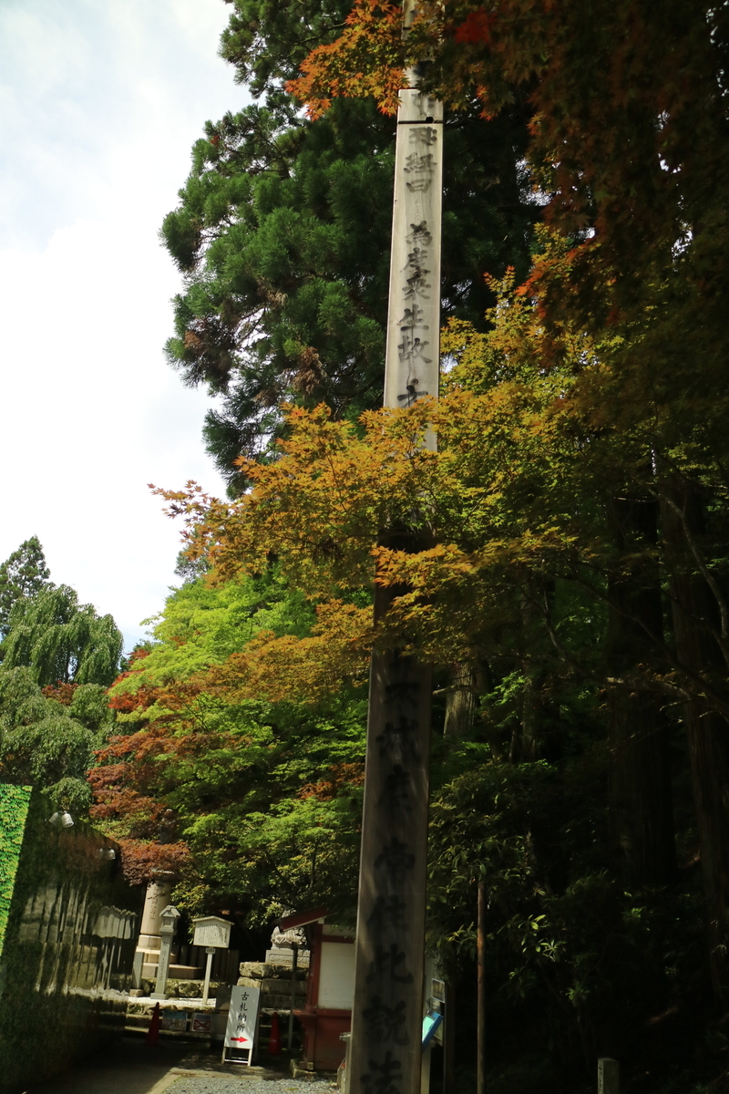 f:id:HKT1989:20190602184803j:plain
