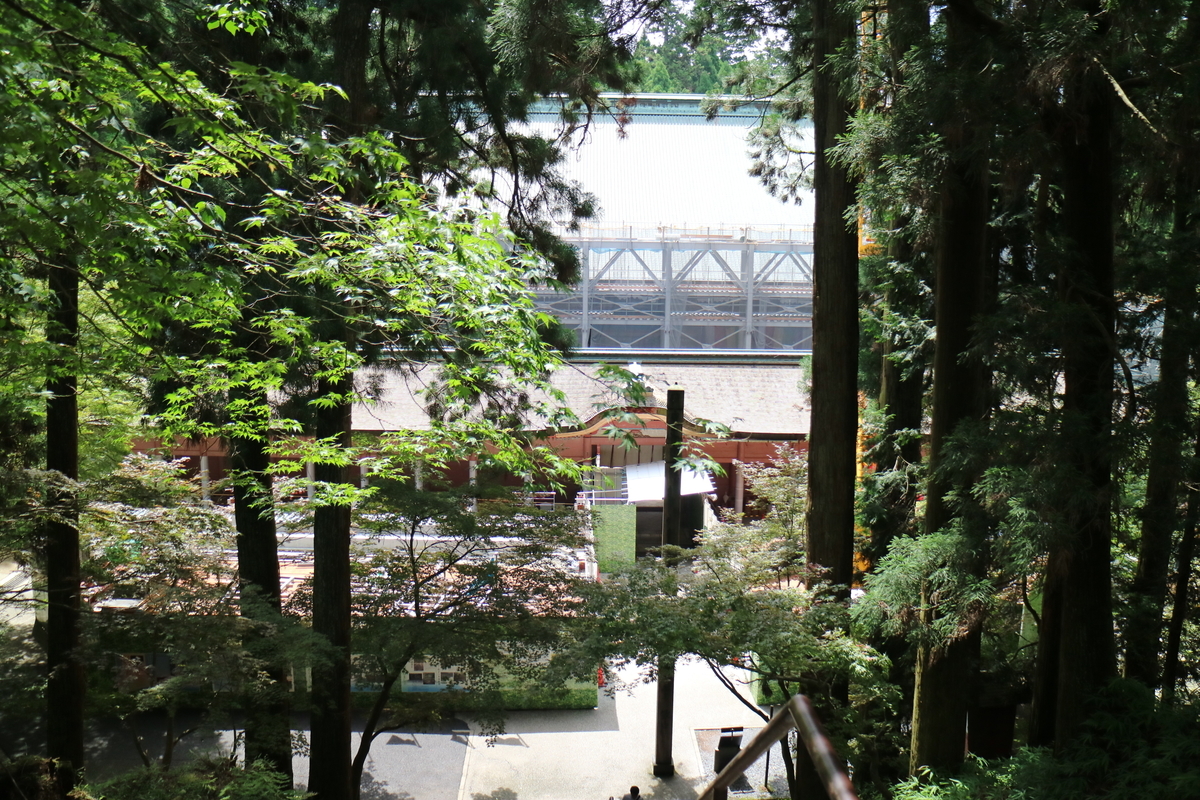 f:id:HKT1989:20190602184843j:plain