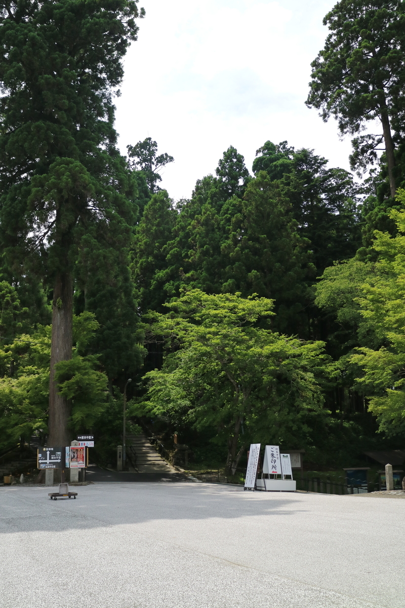 f:id:HKT1989:20190602185002j:plain