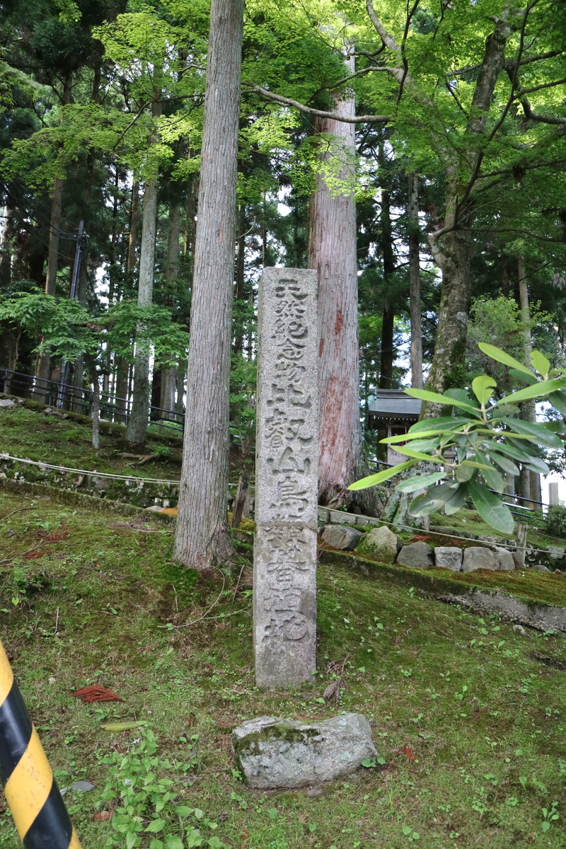 f:id:HKT1989:20190602185231j:plain